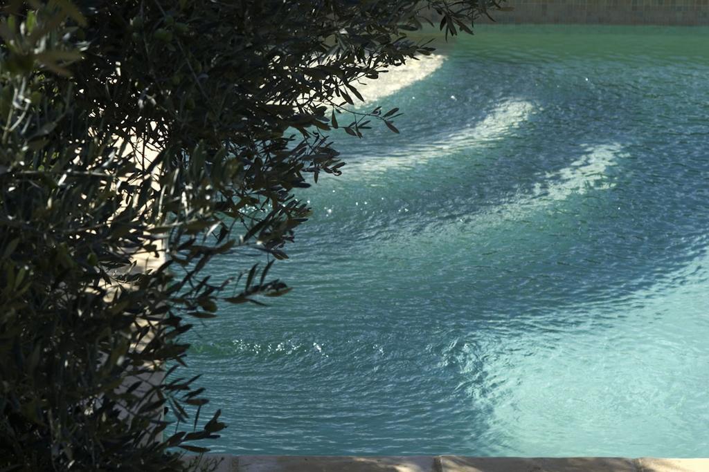 Mas De L'Olivette Bed & Breakfast โคทินยัค ภายนอก รูปภาพ